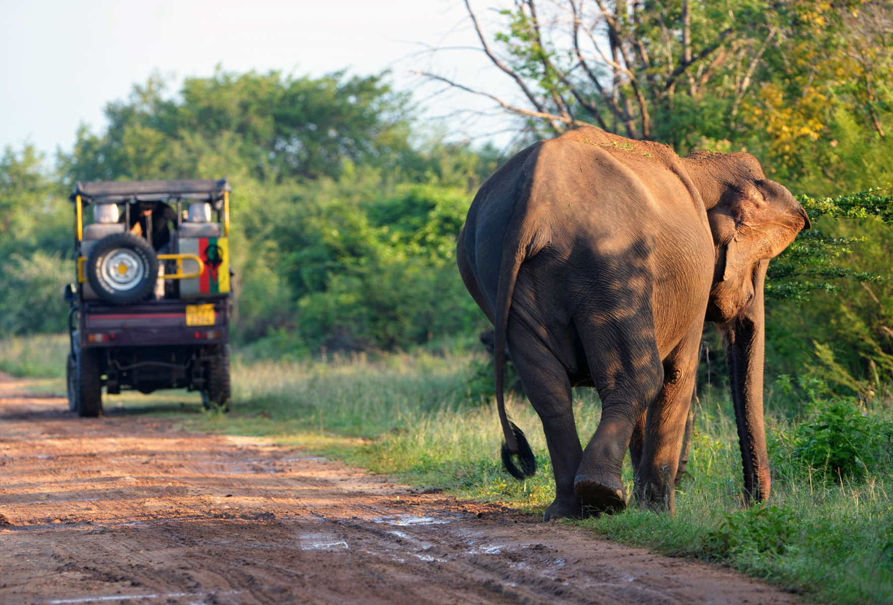 A First Timer's Guide to Sri Lanka